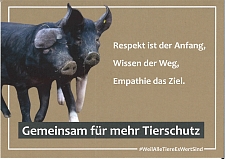 Zwei Schweine. Daneben der Text: Respekt ist der Anfang, Wissen der Weg, Empathie das Ziel. Gemeinsam für mehr Tierschutz. #WeilAlleTiereEsWertSind.