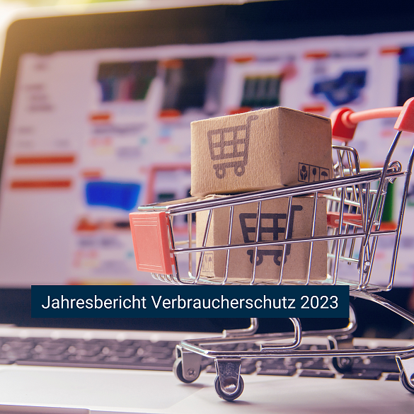 Jahresbericht Verbraucherschutz 2023 